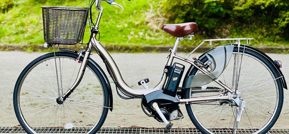 1人乗り 電動自転車（16アンペアバッテリー）の写真（1枚目）